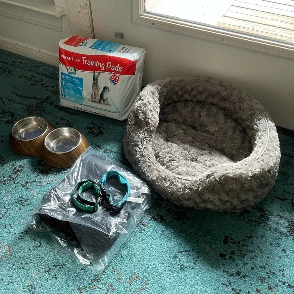 Puppy Starter Kit (dog not included)